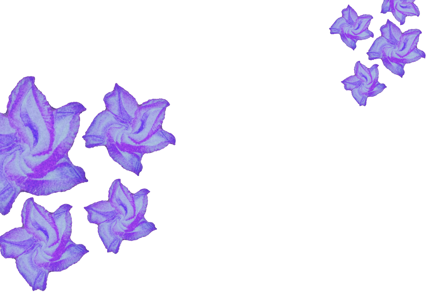 Type a description of this image